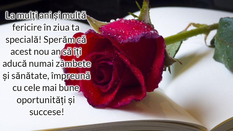 Mesaje noi de La mulți ani!