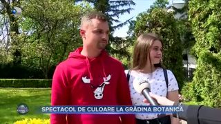 VIDEO- Explozie de parfum şi culoare la grădinile botanice 