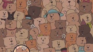 Soluția testului IQ