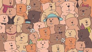 test iq Poți să găsești &icirc;n maxim 7 secunde un cartof printre urși?