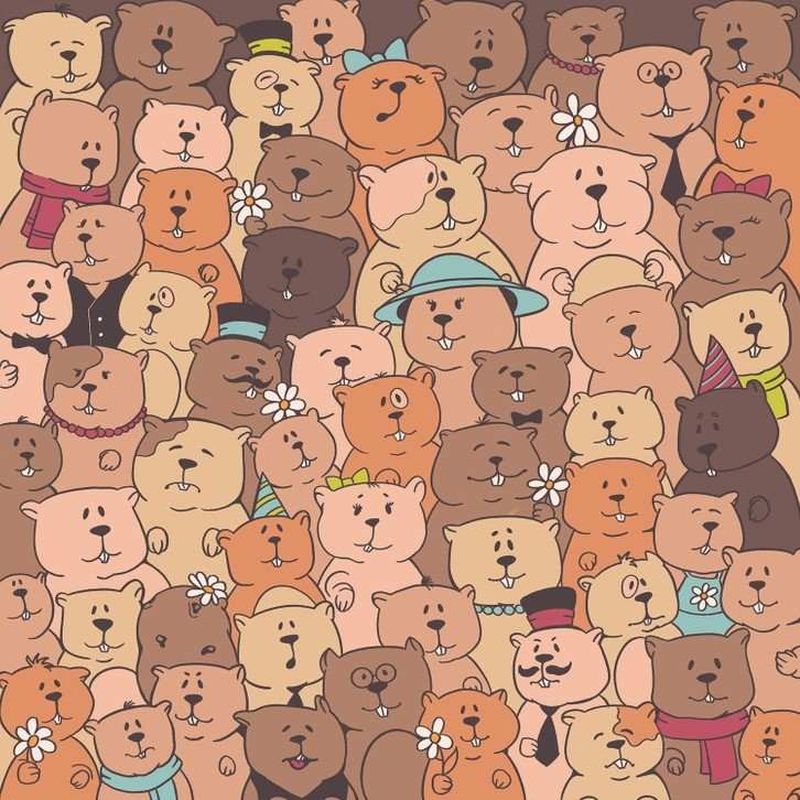 test iq Poți să găsești în maxim 7 secunde un cartof printre urși?