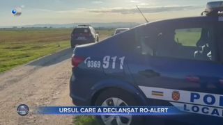 Ursul care a declanșat RO-ALERT