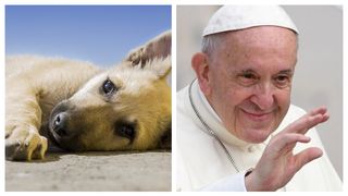 Papa Francisc, aflat într-o situație mai puțin plăcută: „Am certat o femeie care mi-a cerut să-i binecuvântez câinele”