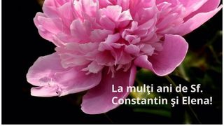 Felicitări de Sf. Constantin și Elena 2023. Cel mai frumos mod de a spune &bdquo;La mulți ani!&rdquo; celor care poartă numele sfinților &Icirc;mpărați!