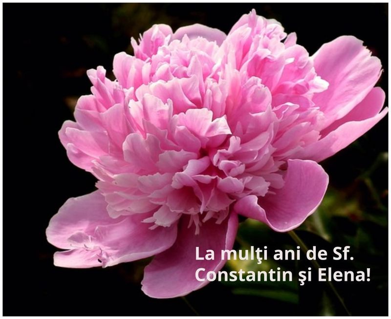 Felicitări de Sf. Constantin și Elena 2023. Cel mai frumos mod de a spune „La mulți ani!” celor care poartă numele sfinților Împărați!