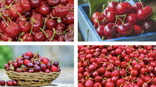 Adevărul despre cireșele de mai! Cum îți poți da seama dacă acestea sunt din import