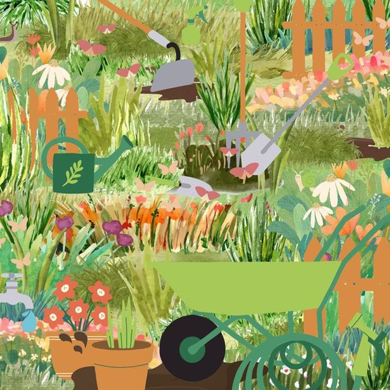 Test IQ. Poți să găsești doi melci în imagine în 90 de secunde?