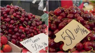 VIDEO - Cireșele de mai întârzie să se coacă din cauza vremii schimbătoare