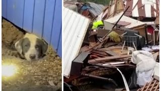 În urma dezastrului din Texas, o persoană a murit şi alte zece au ajuns la spital. 