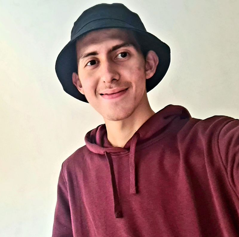 Fabian Pavel Velicea - student