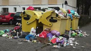 VIDEO - Șobolani, gunoaie și miros insuportabil &icirc;ntr-un cartier din T&acirc;rgu-Mureș. Părinții &icirc;și țin copiii &icirc;n casă