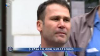 Și fără palmieri, și fără permis