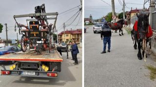 O nuntă a fost stricată, după ce poliţiştii locali din Craiova au ridicat trăsurile mirilor.