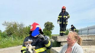 FOTO/VIDEO - Imagini emoționante! Un cățeluș a fost la un pas să moară, blocați &icirc;ntre plăci de beton, &icirc;n Constanța. El a fost salvat de pompieri