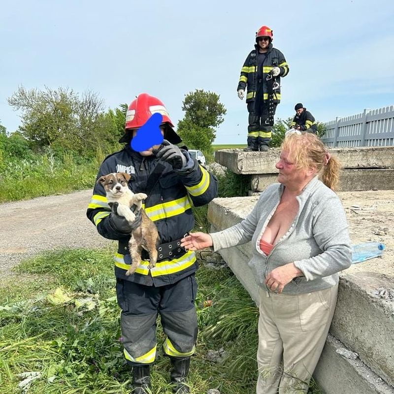 FOTO/VIDEO - Imagini emoționante! Un cățeluș a fost la un pas să moară, blocați între plăci de beton, în Constanța. El a fost salvat de pompieri