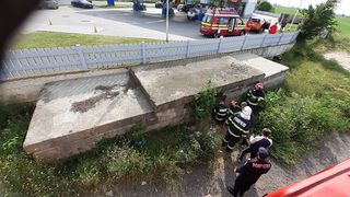 FOTO/VIDEO - Imagini emoționante! Un cățeluș a fost la un pas să moară, blocați &icirc;ntre plăci de beton, &icirc;n Constanța. El a fost salvat de pompieri
