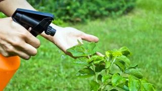 O femeie din Olt a decedat după ce a consumat insecticid dintr-o sticlă de suc