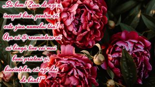 Mesaje creștine de Sf. Constantin și Elena 2023! Spune un călduros &bdquo;La mulți ani!&rdquo; tuturor sărbătoriților pe 21 mai!