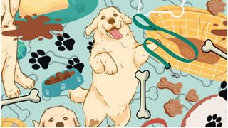 Ai un IQ peste medie dacă vezi mingea ascunsă în imaginea de mai jos. Cel mai recent puzzle i-a pus la încercare pe mulți oameni pe internet