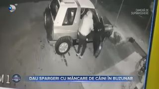 Dau spargeri cu m&acirc;ncare de c&acirc;ini &icirc;n buzunar
