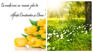 Mesaje, urări și felicitări Sf. Constantin și Elena 2023! La mulți ani, Constantin, Costel, Constanța, Elena, Ileana și Lenuța!