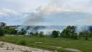Incendiu devastator în Delta Văcărești. 30.000 de metri pătrați de vegetație ard