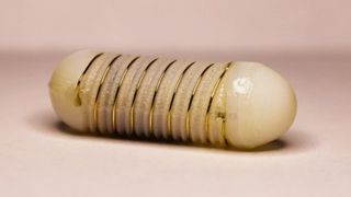 Pastila va fi eficientă nu doar în cazul celor obezi, dar și a pacienților cu tulburări de alimentație. 