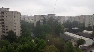 Ploaia torențială a făcut ravagii în zeci de gospodării