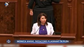 Monica Anisie, dezacord flagrant &icirc;n Plen