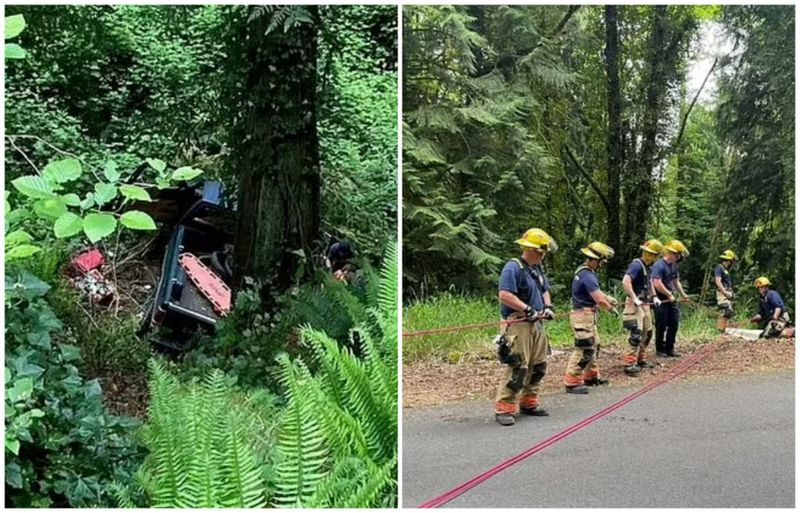 Un sistem de frânghii a fost pus la punct pentru a-l urca pe Sansbury pe versantul abrupt al dealului.