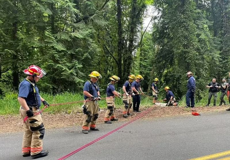 Bărbatul a fost dus cu ambulanța la o școală din apropiere, de unde un elicopter Lifeflight l-a preluat.
