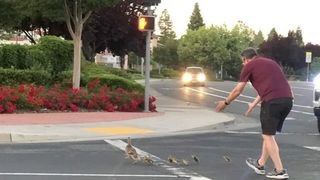 Casey Rivara a fost lovit în mod tragic de o mașină, după ce a încercat să salveze o rață și puii ei de pe un drum aglomerat.