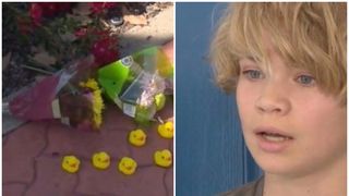 Bărbatul a reușit să ducă puii de rață în siguranță înainte de a fi lovit de o mașină pe Stanford Ranch.