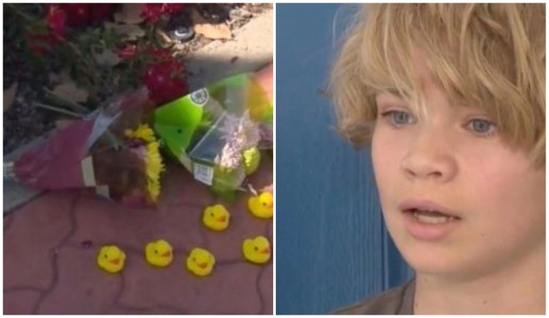 Bărbatul a reușit să ducă puii de rață în siguranță înainte de a fi lovit de o mașină pe Stanford Ranch.