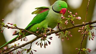 Femeia nu era obligată să-și păstreze fii vitregi &icirc;n testament.