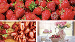 Beneficiile căpșunilor pentru organism. Contraindicațiile fructelor de vară. Cine nu trebuie să le consume?