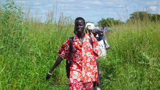 Descoperire neașteptată la granița României. Ce au transmis polițiștii de frontieră