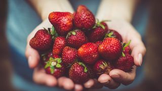 Tiramisiu de căpșuni. O rețetă delicioasă, la &icirc;ndem&acirc;na oricui! Ingrediente și mod de preparare!