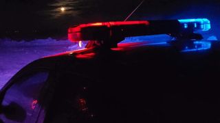 Polițiștii români au confiscat peste 90 de kilograme de droguri. Care a fost cea mai mare captură