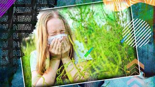 VIDEO- A început sezonul alergiilor la ambrozie. Autoritățile au pregătit amenzi usturătoare