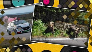 VIDEO- Un pui de urs, spectator la Raliul Argeșului. Cum a fost surprins animalul