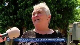 Pisicile, atracțiile de la cimitirul Bellu