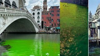 VIDEO - Imagini inedite cu apa verde fosforescent apărută pe un canal al Veneției