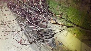 FOTO - Accident rutier grav &icirc;n Bistrița-Năsăud. O mașină condusă de un t&acirc;năr  s-a făcut bucăți, după ce a intrat &icirc;ntr-un st&acirc;lp de electricitate