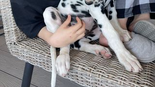 Simona Pătruleasa face o alegere adorabilă - un c&acirc;ine dalmatian &icirc;n viața sa  &ldquo;Toți oamenii doreau să facă poze cu el!&rdquo;