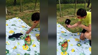 VIDEO - Cioara Cronco a împlinit patru ani. Stăpânii i-au organizat o petrecere specială