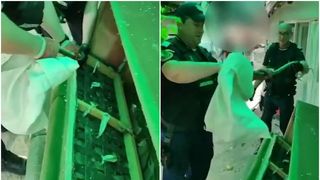 VIDEO - O familie din Tulcea a găsit un șarpe în canapeaua de pe terasa casei