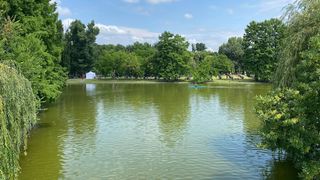 VIDEO - Nou proiect aprobat: Primarul Sectorului 3 al Capitalei, Robert Negoiță vrea arteziene muzicale de 30 de milioane de lei în parcurile Teilor și IOR