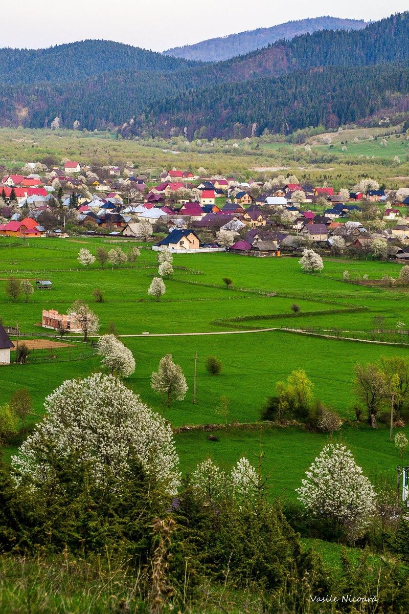 Staţiunea montană Straja din Valea Jiului este căutată de amatorii de schi, dar a devenit şi un loc de pelerinaj religios.