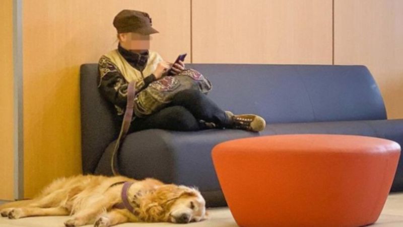 Incident bizar într-un aeroport din Spania. O româncă și câinele ei au „locuit” 17 zile pe o canapea